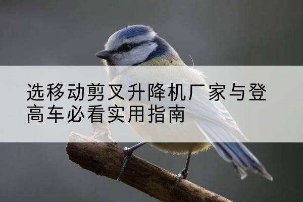 泾阳电动升降机厂家-选移动剪叉升降机厂家与登高车必看实用指南
