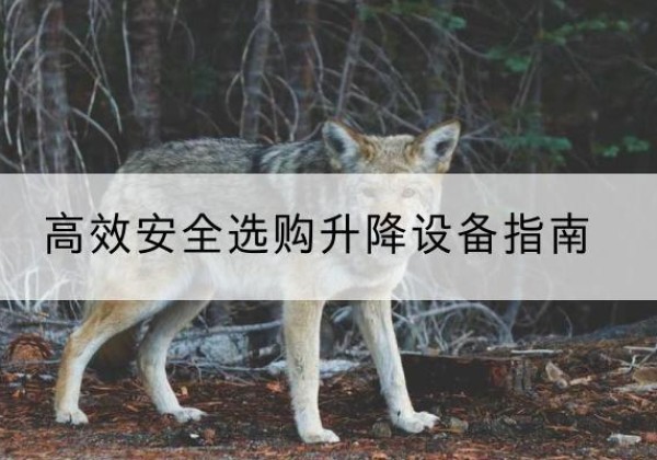 泾阳升降货梯厂家推荐-*安全选购升降设备指南